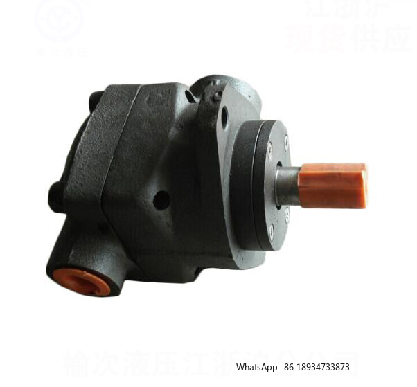 Hydraulic Vane Pump YB-B48/58/ - огляд і ціна Electrical